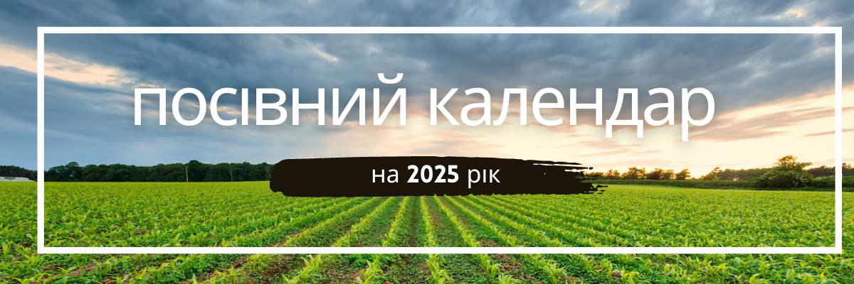 Посівний календар на 2025 рік  фото